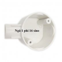 Ngả 1 phi 16 sino