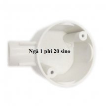 Ngã 1 phi 20 sino