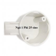 Ngã 1 Phi 25 sino