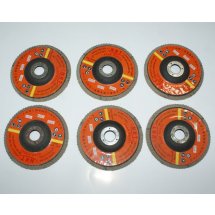 Nhám Xếp Nhật