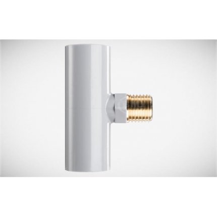 T Ren Ngoài Thau BM