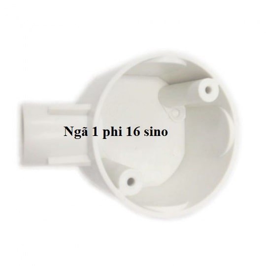 Ngả 1 phi 16 sino