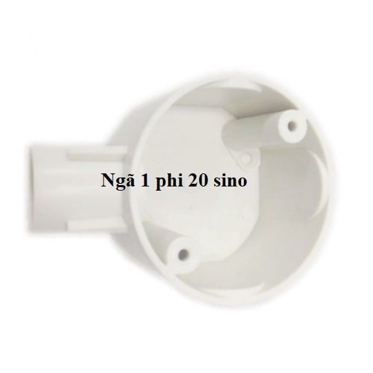 Ngã 1 phi 20 sino